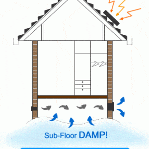 sub-floor damp