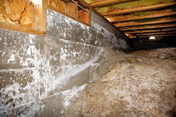 Subfloor Fans
